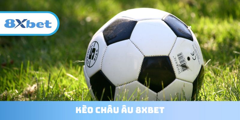 Kèo Châu Âu 8XBET